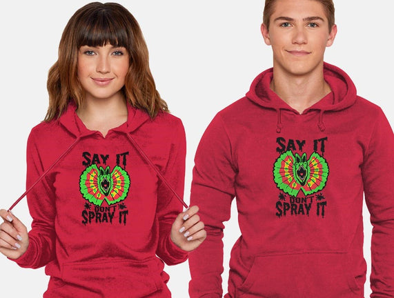 Say It Don't Spray It