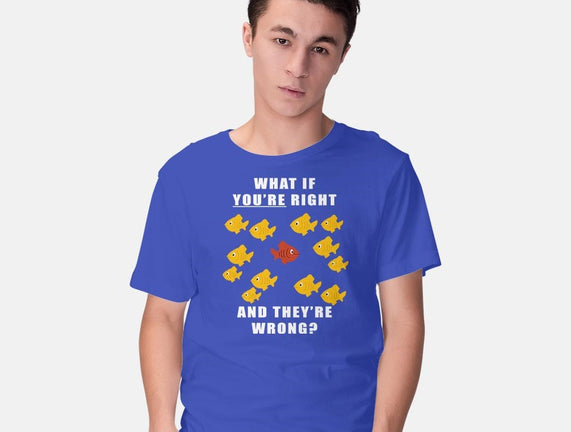 What if You're Right and They're Wrong