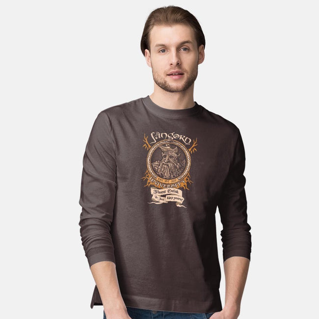 Fangorn University-mens long sleeved tee-Hootbrush