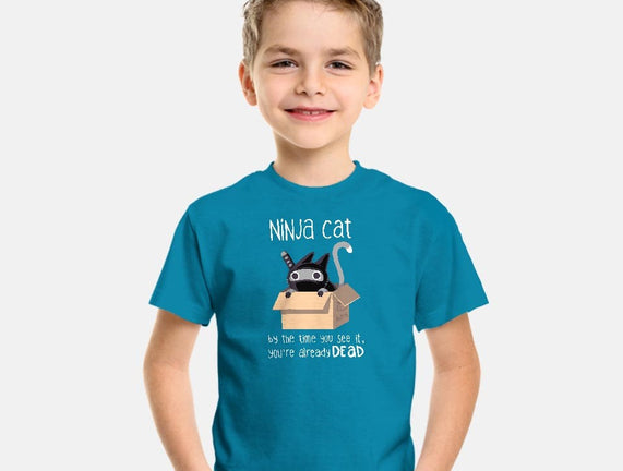 Ninja Cat