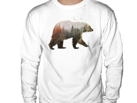 Ursa Nature