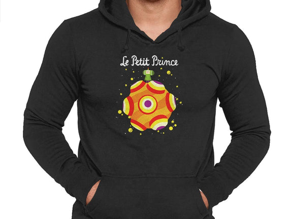 Le Petit Prince Cosmique