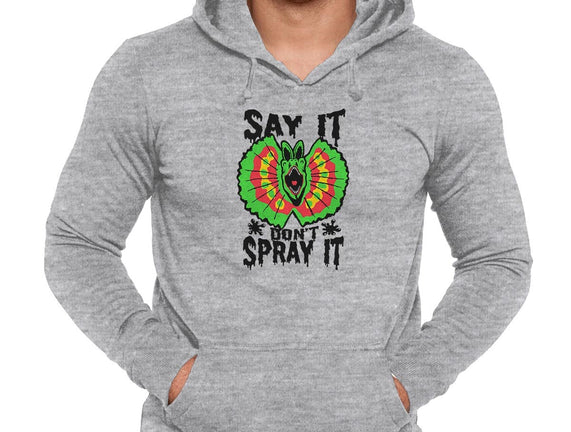 Say It Don't Spray It