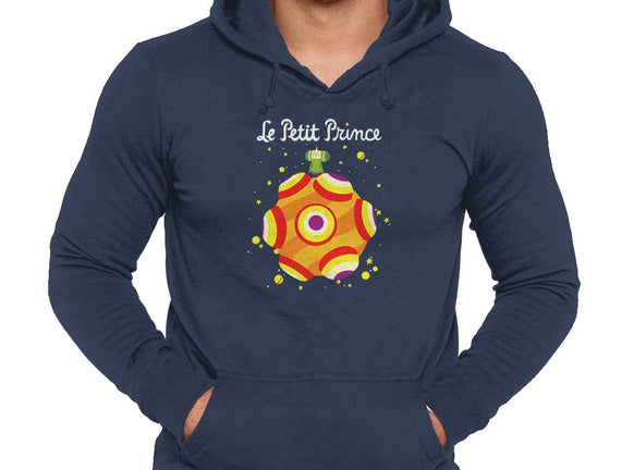 Le Petit Prince Cosmique