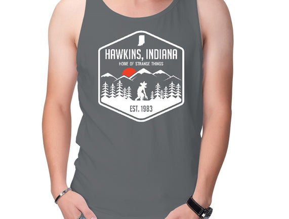 Visit Hawkins