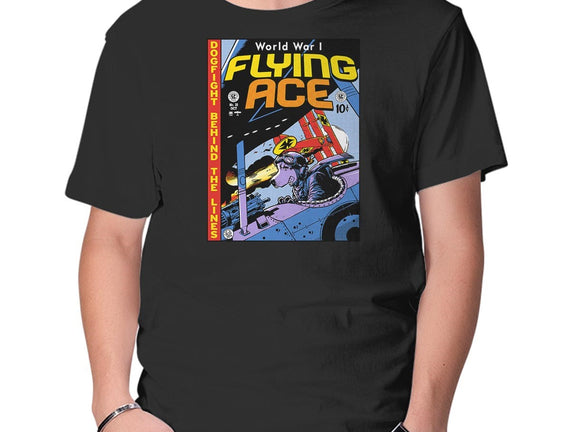 World War I Flying Ace