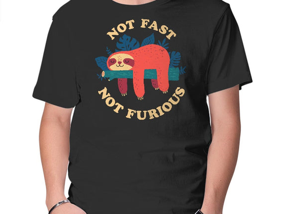 Not Fast, Not Furious