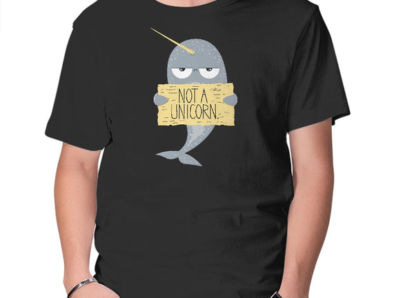 Not A Unicorn