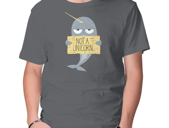 Not A Unicorn