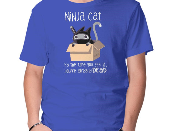 Ninja Cat