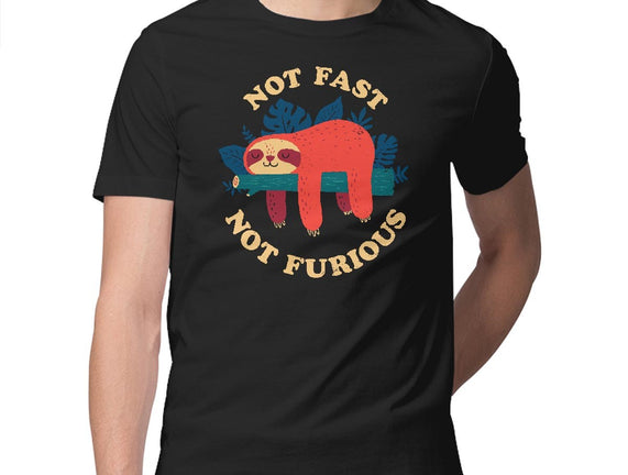 Not Fast, Not Furious
