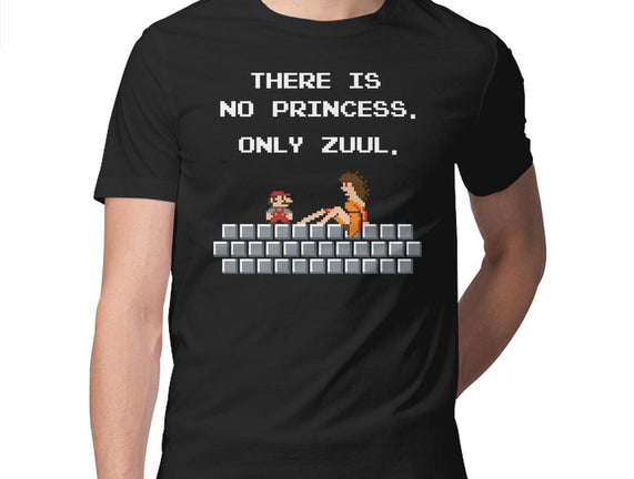 There Is No Princess