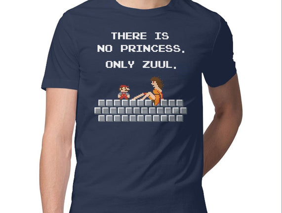 There Is No Princess