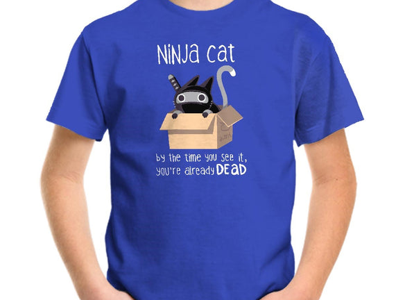 Ninja Cat