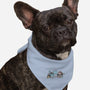 Flight Experiment-Dog-Bandana-Pet Collar-pigboom