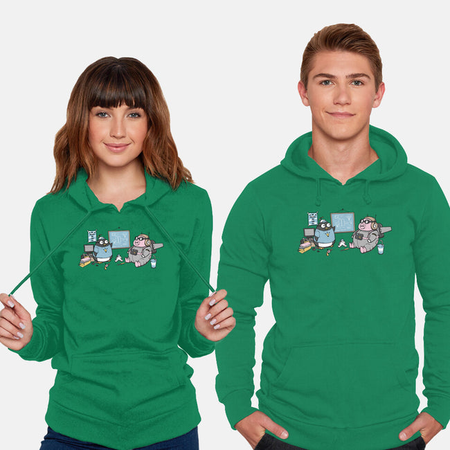 Flight Experiment-Unisex-Pullover-Sweatshirt-pigboom