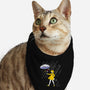 Salt Scared Girl-Cat-Bandana-Pet Collar-Raffiti