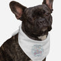 Pool Pawty Time-Dog-Bandana-Pet Collar-xMorfina