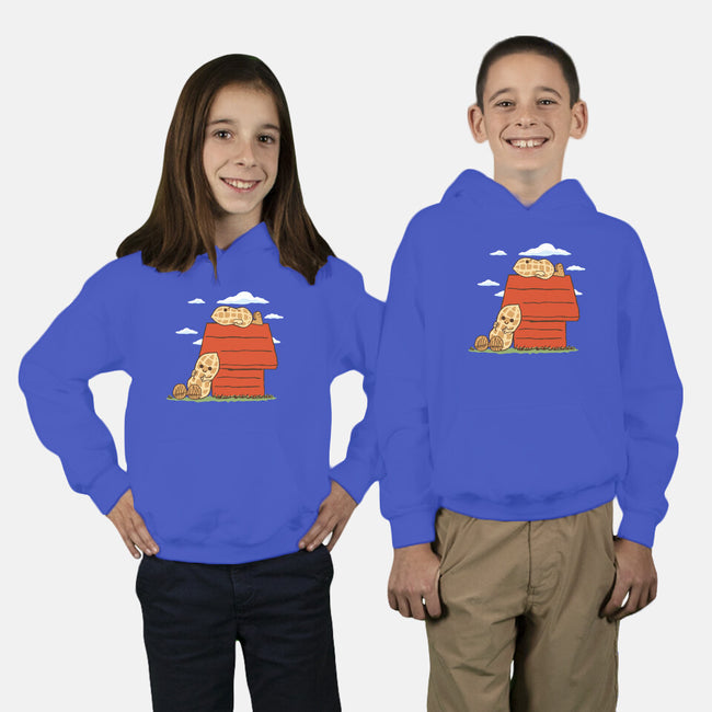 Peanuts-Youth-Pullover-Sweatshirt-Melonseta