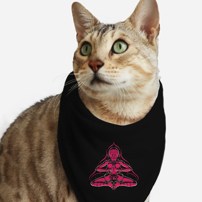 Fire Meditation-Cat-Bandana-Pet Collar-estudiofitas