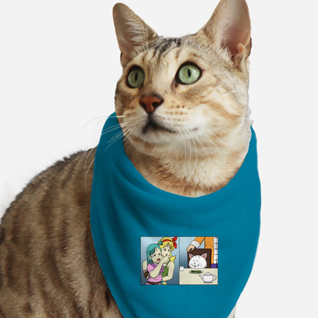 Girl Vs Cat-Cat-Bandana-Pet Collar-pigboom