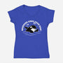 Whatever Sinks Your Boat-Womens-V-Neck-Tee-Aarons Art Room