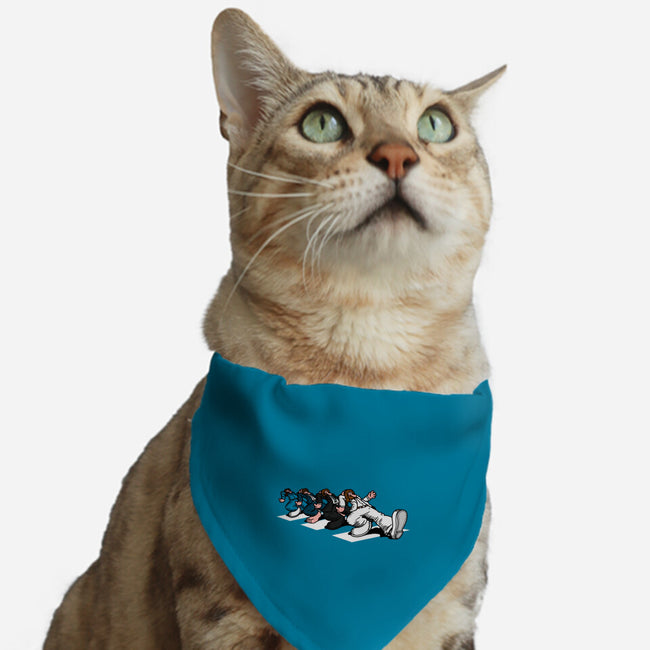 Keep On Crossin-Cat-Adjustable-Pet Collar-Raffiti