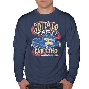 Can't Go Fast