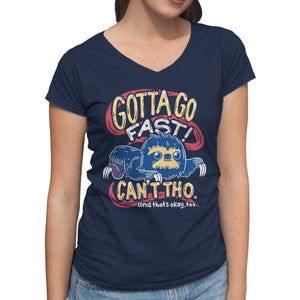 Can't Go Fast