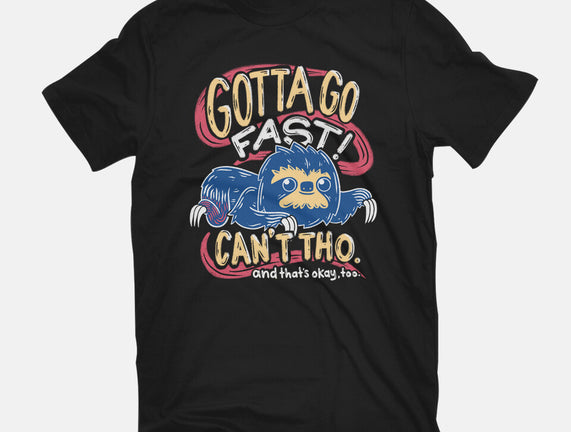 Can't Go Fast