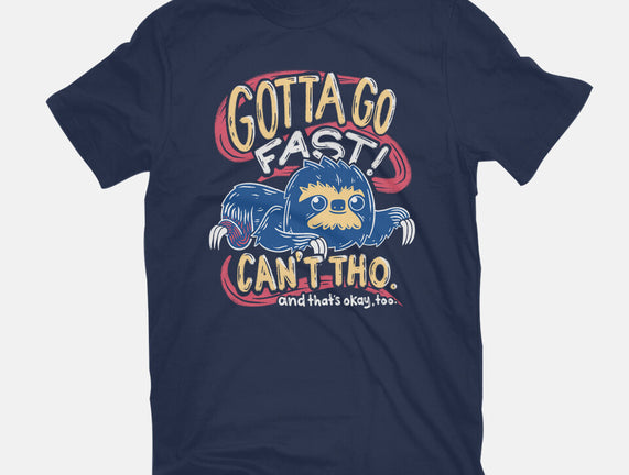 Can't Go Fast