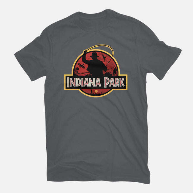 Indiana Park-Womens-Fitted-Tee-Getsousa!