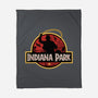 Indiana Park-None-Fleece-Blanket-Getsousa!