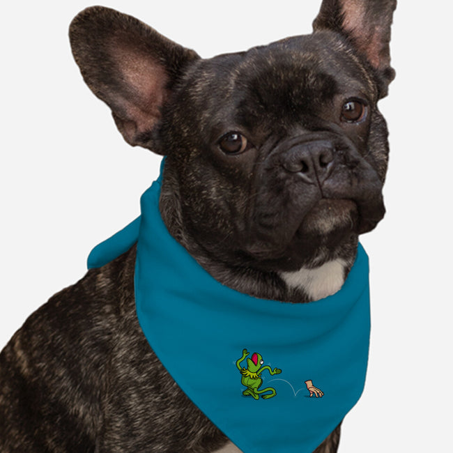 Empty Frog-Dog-Bandana-Pet Collar-Raffiti