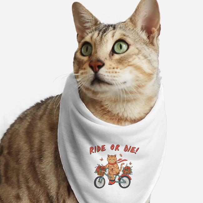 Ride Or Die Catana-Cat-Bandana-Pet Collar-vp021