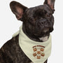 Wild Beargers-Dog-Bandana-Pet Collar-tobefonseca