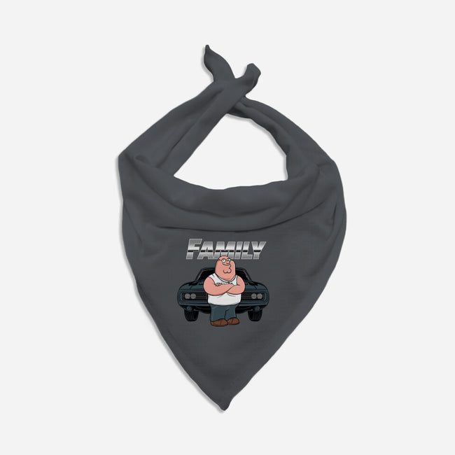 Peter Toretto-Cat-Bandana-Pet Collar-gaci