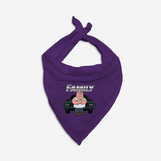 Peter Toretto-Cat-Bandana-Pet Collar-gaci