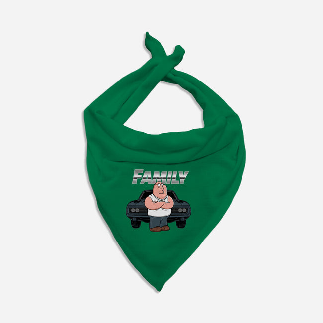 Peter Toretto-Dog-Bandana-Pet Collar-gaci