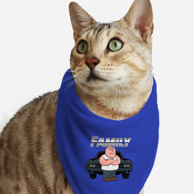 Peter Toretto-Cat-Bandana-Pet Collar-gaci