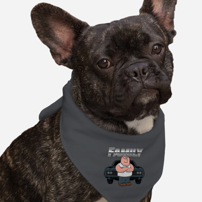 Peter Toretto-Dog-Bandana-Pet Collar-gaci