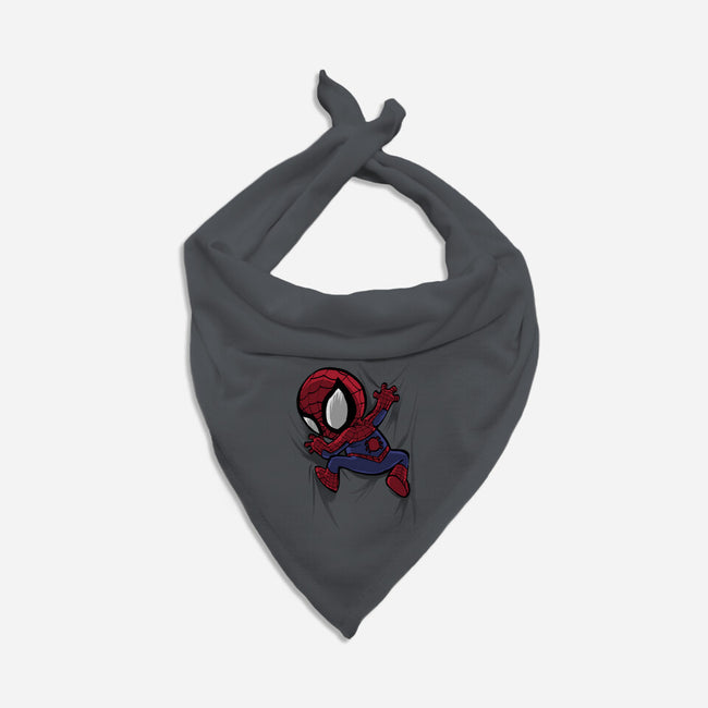 My Portable Spidey-Cat-Bandana-Pet Collar-zascanauta