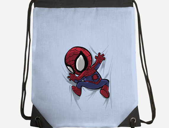 My Portable Spidey