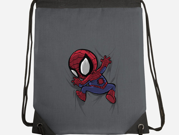 My Portable Spidey