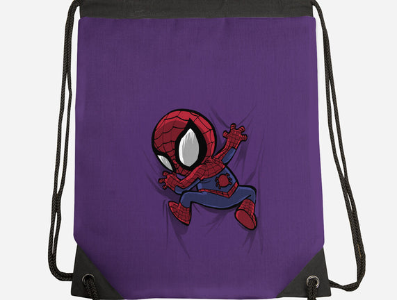 My Portable Spidey