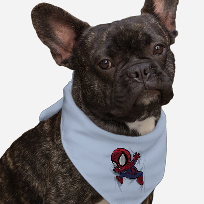 My Portable Spidey-Dog-Bandana-Pet Collar-zascanauta