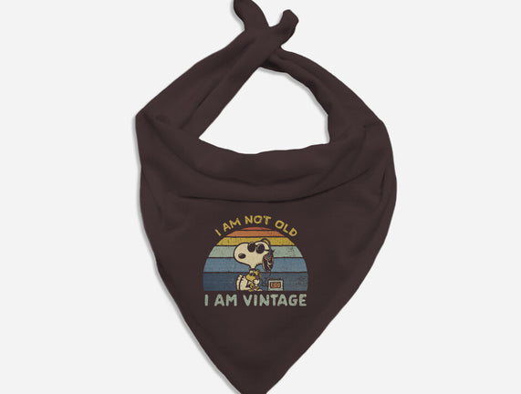 I Am Vintage