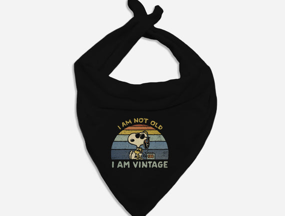 I Am Vintage