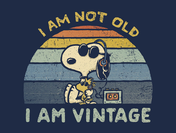 I Am Vintage