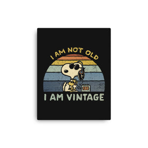 I Am Vintage